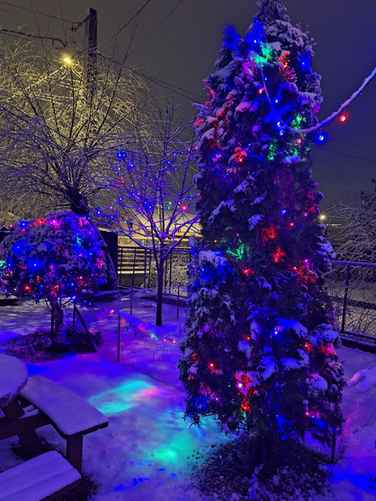 Casă/Vilă 3 camere • Lipănești